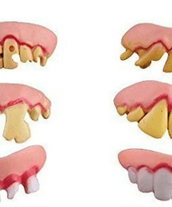 Hàm răng giả hài hước : Răng sún. răng hô, Răng sâu , răng thỏ .... = 75.000/ 1 hàm