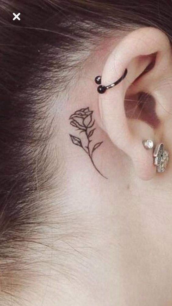 Hình xăm hoa hồng mini với hình vẽ tinh tế hình xăm hoa hồng mini nét vẽ tinh tế