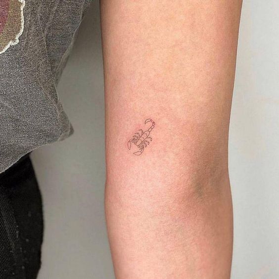 100 hình xăm bọ cạp mini cho nam và nữ được chọn lọc - Genztattoo