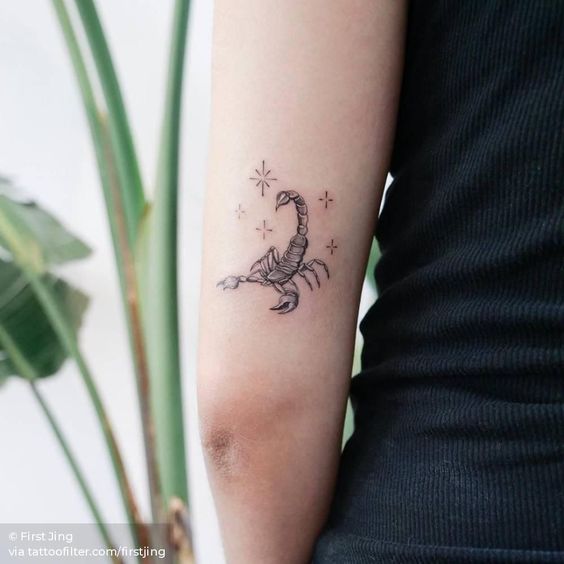 100 hình xăm bọ cạp mini cho nam và nữ được chọn lọc - Genztattoo