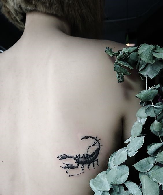 100 hình xăm bọ cạp mini cho nam và nữ được chọn lọc - Genztattoo