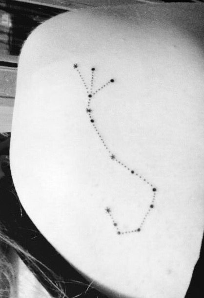 100 hình xăm bọ cạp mini cho nam và nữ được chọn lọc - Genztattoo