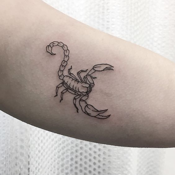 100 hình xăm bọ cạp mini cho nam và nữ được chọn lọc - Genztattoo
