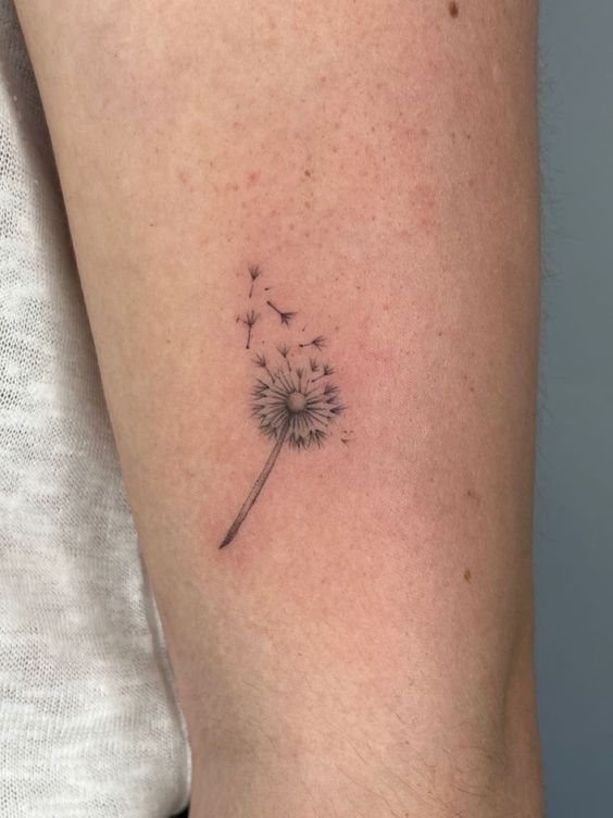 100 hình xăm bồ công anh mini ở tay và ở vai cực dễ thương - Genztattoo