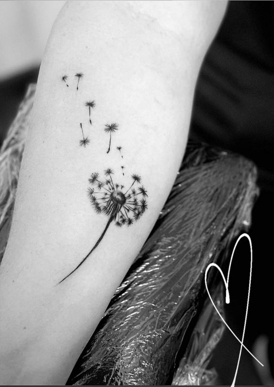 100 hình xăm bồ công anh mini ở tay và ở vai cực dễ thương - Genztattoo