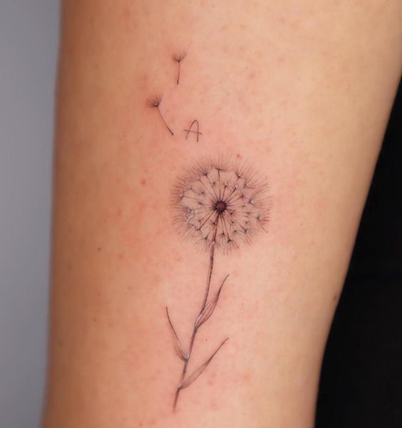 100 hình xăm bồ công anh mini ở tay và ở vai cực dễ thương - Genztattoo