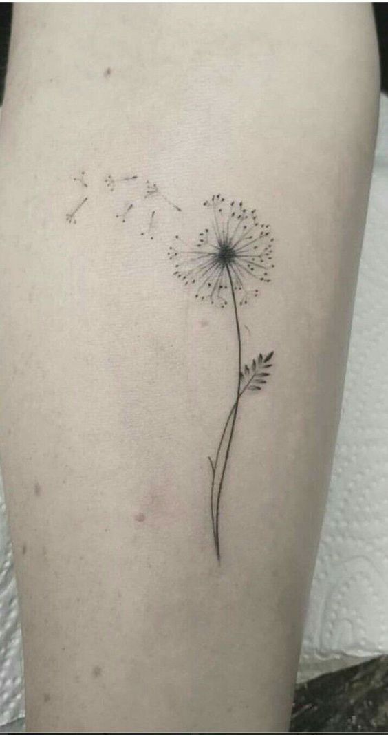 100 hình xăm bồ công anh mini ở tay và ở vai cực dễ thương - Genztattoo