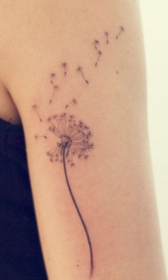 100 hình xăm bồ công anh mini ở tay và ở vai cực dễ thương - Genztattoo