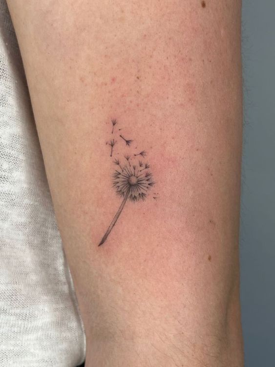 100 hình xăm bồ công anh mini ở tay và ở vai cực dễ thương - Genztattoo
