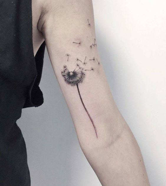 100 hình xăm bồ công anh mini ở tay và ở vai cực dễ thương - Genztattoo