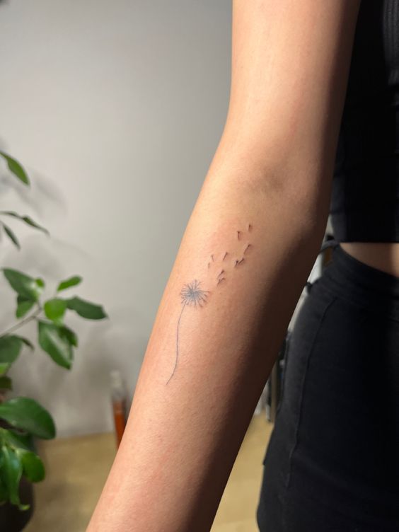 100 hình xăm bồ công anh mini ở tay và ở vai cực dễ thương - Genztattoo