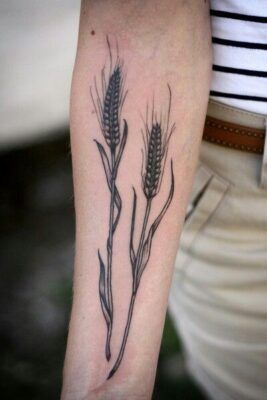 Tattoo hai cây lúa nghệ thuật