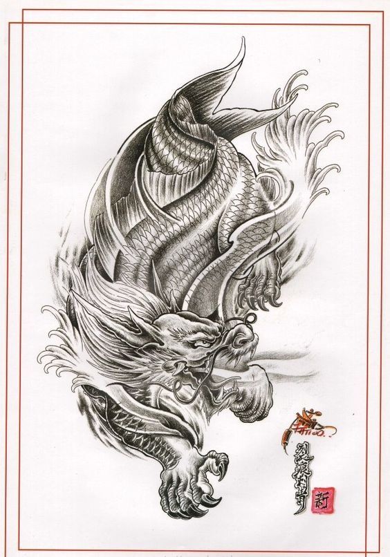 Hình xăm phác họa cá chép hóa rồng phác họa tattoo hình xăm cá chép hóa rồng