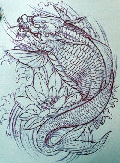 Hình xăm phác họa cá chép đầu rồng và hoa sen phác thảo hình xăm vẽ cá chép đầu rồng và hoa sen