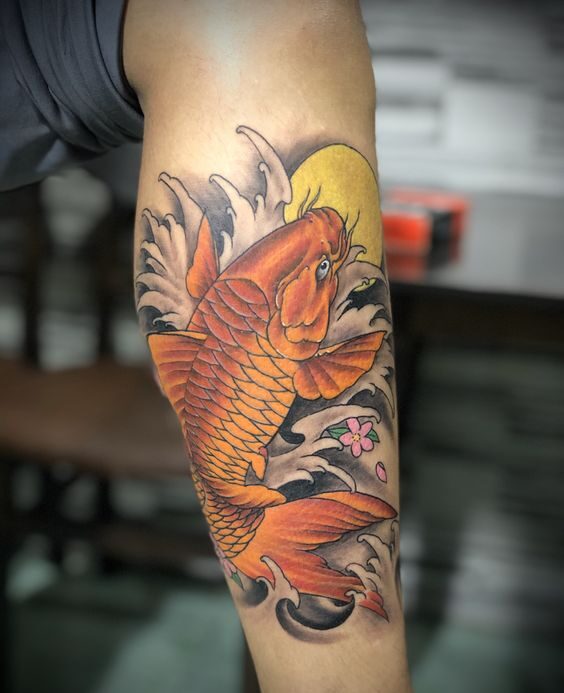 Hình xăm cá chép kết hợp mặt trời và hoa anh đào tattoo cá chép kết hợp mặt trời và hoa anh đào