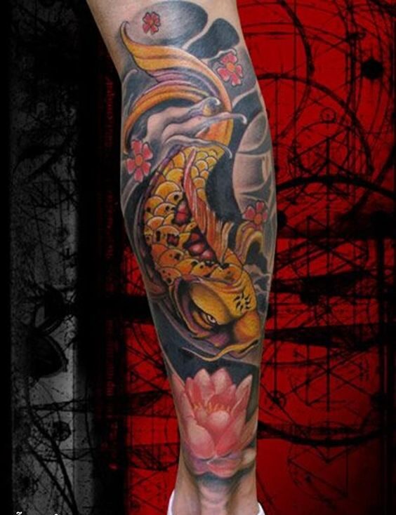 Hình xăm cá chép kết hợp hoa sen và hoa anh đào ở chân tattoo cá chép kết hợp hoa sen và hoa anh đào ở chân