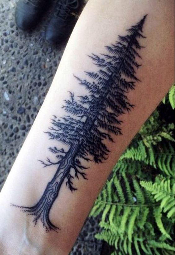 kiểu tattoo cây thông độc đáo cho nam
