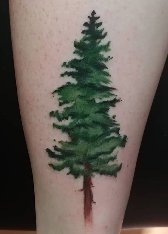 ý tưởng tattoo cây thông có màu đẹp