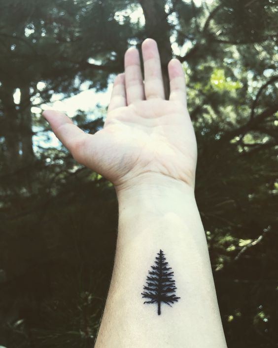 mẫu tattoo ở cổ tay hình cây thông đẹp