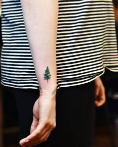 mẫu tattoo cây thông cho khách