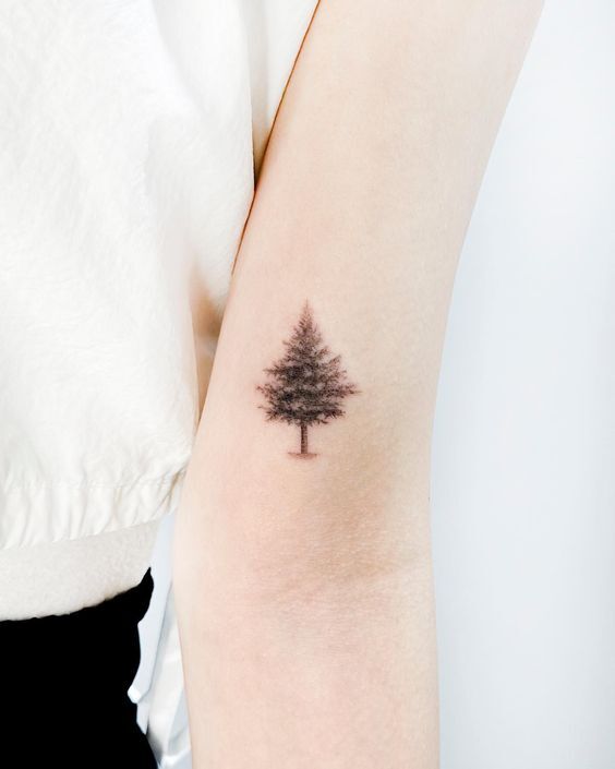 mẫu tattoo cây thông nhỏ xinh