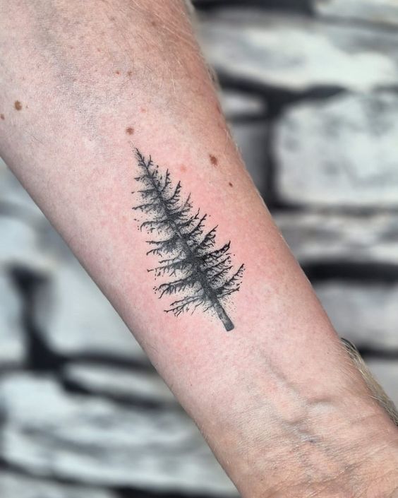 mẫu tattoo cây thông mini cho nam