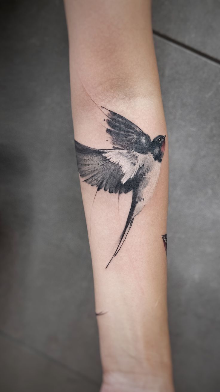 tattoo chim én siêu đẹp ở tay