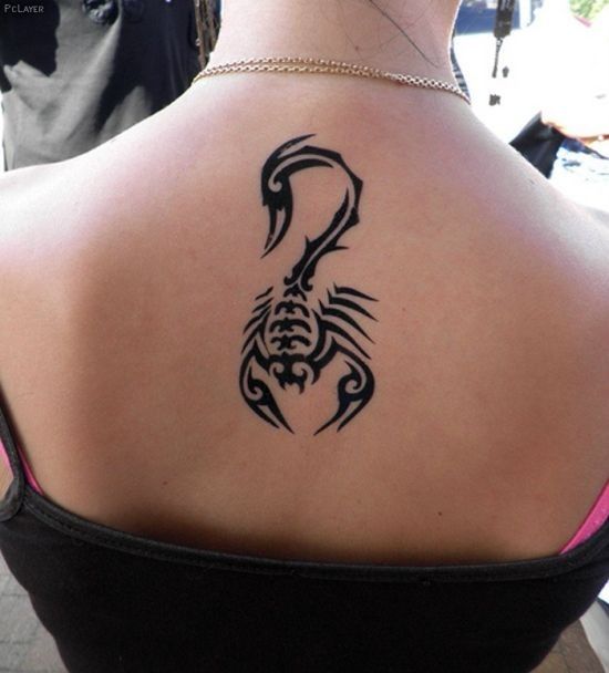 Kiểu xăm bọ cạp sau gáy Top 999+ hình xăm con bọ cạp siêu ngầu và cá tính - Genztattoo