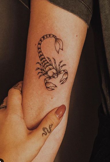 Mẫu hình xăm bắp tay bọ cạp Top 999+ hình xăm con bọ cạp siêu ngầu và cá tính - Genztattoo