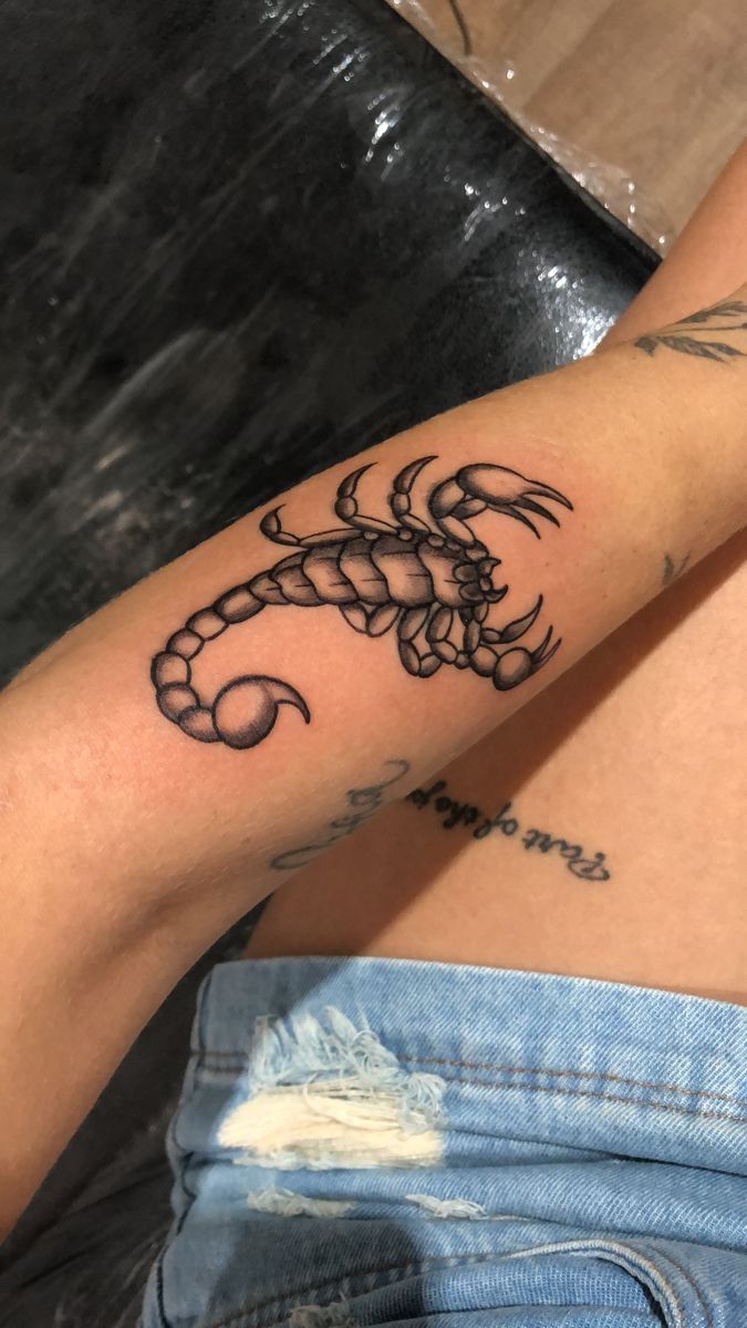 Mẫu hình xăm bọ cạp ở cổ tay Top 999+ hình xăm con bọ cạp siêu ngầu và cá tính - Genztattoo