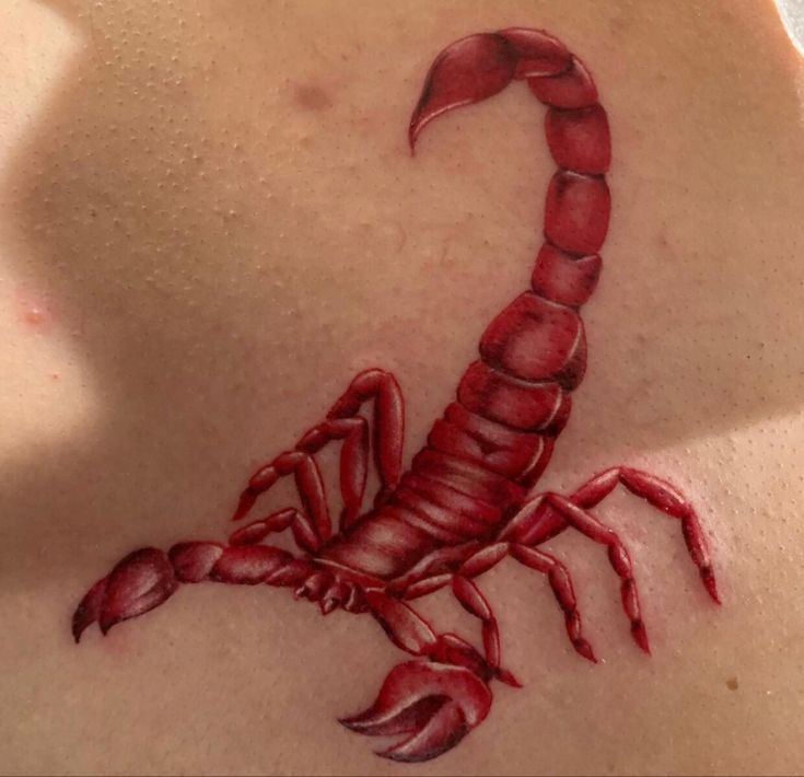 Hình xăm bọ cạp ở bụng Top 999+ hình xăm con bọ cạp siêu ngầu và cá tính - Genztattoo