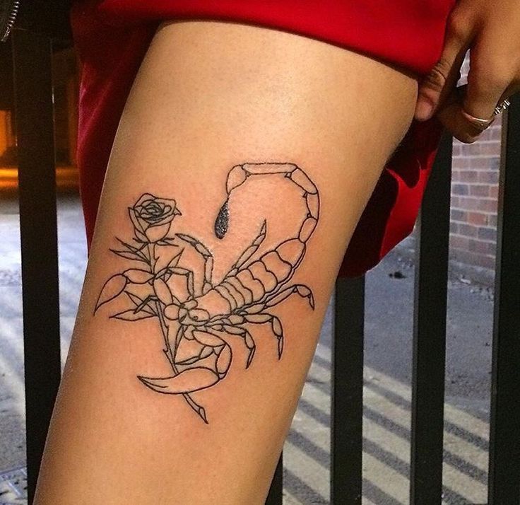 Hình xăm bọ cạp cực đẹp cho nữ Top 999+ hình xăm con bọ cạp siêu ngầu và cá tính - Genztattoo
