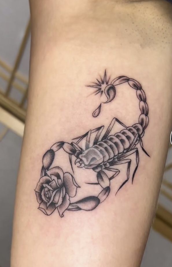 Thiết kế hình xăm bọ cạp và hoa Top 999+ hình xăm con bọ cạp siêu ngầu và cá tính - Genztattoo