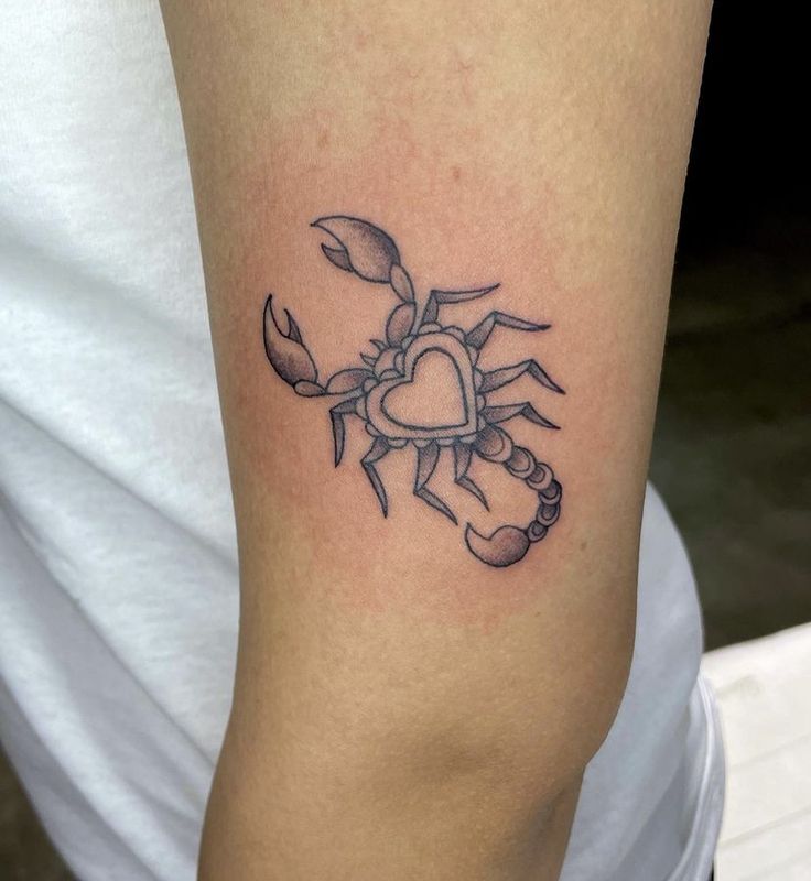 Hình xăm bọ cạp trái tim độc đáo Top 999+ hình xăm con bọ cạp siêu ngầu và cá tính - Genztattoo