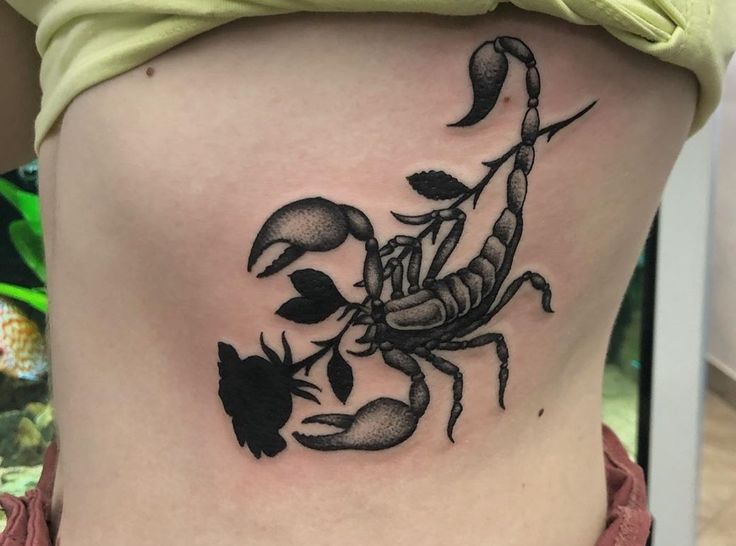 Kiểu xăm bọ cạp cực ngầu ở eo Top 999+ hình xăm con bọ cạp siêu ngầu và cá tính - Genztattoo