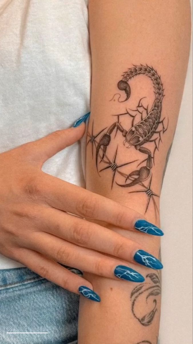 hình xăm bọ cạp ở bắp tay Top 999+ hình xăm con bọ cạp siêu ngầu và cá tính - Genztattoo