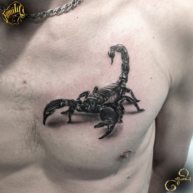 Hình xăm bọ cạp ở ngực Top 999+ hình xăm con bọ cạp siêu ngầu và cá tính - Genztattoo