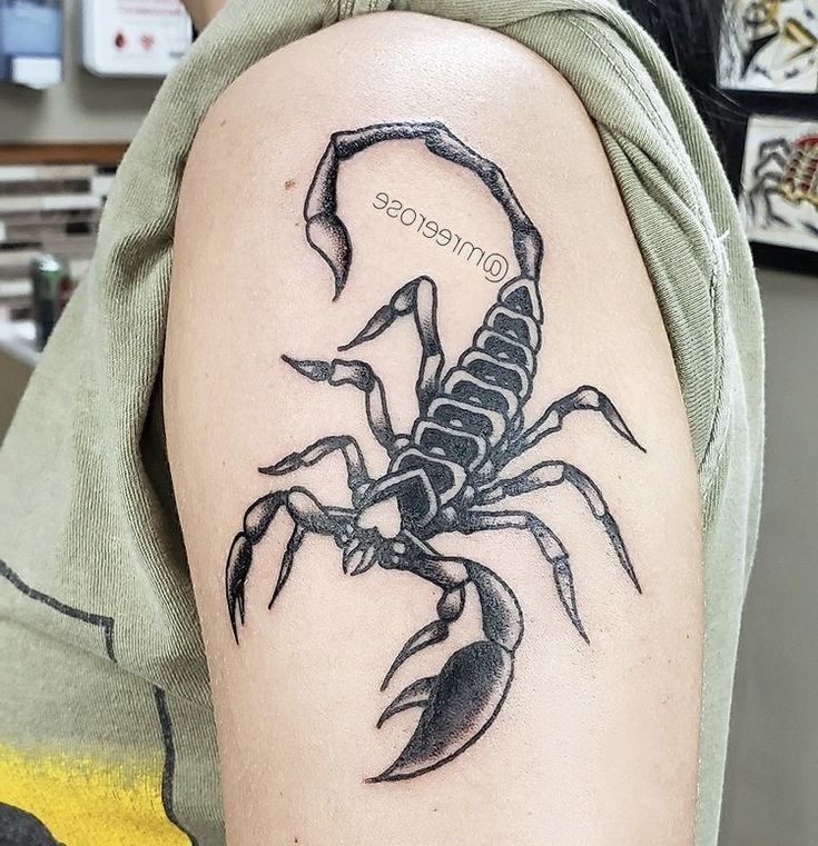 Hình xăm bọ cạp đẹp ở bắp tay Top 999+ hình xăm con bọ cạp siêu ngầu và cá tính - Genztattoo