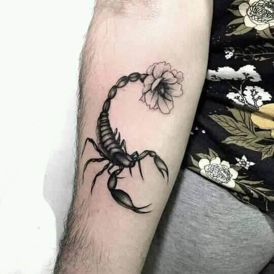 hình xăm bọ cạp đuôi hoa Top 999+ hình xăm con bọ cạp siêu ngầu và cá tính - Genztattoo
