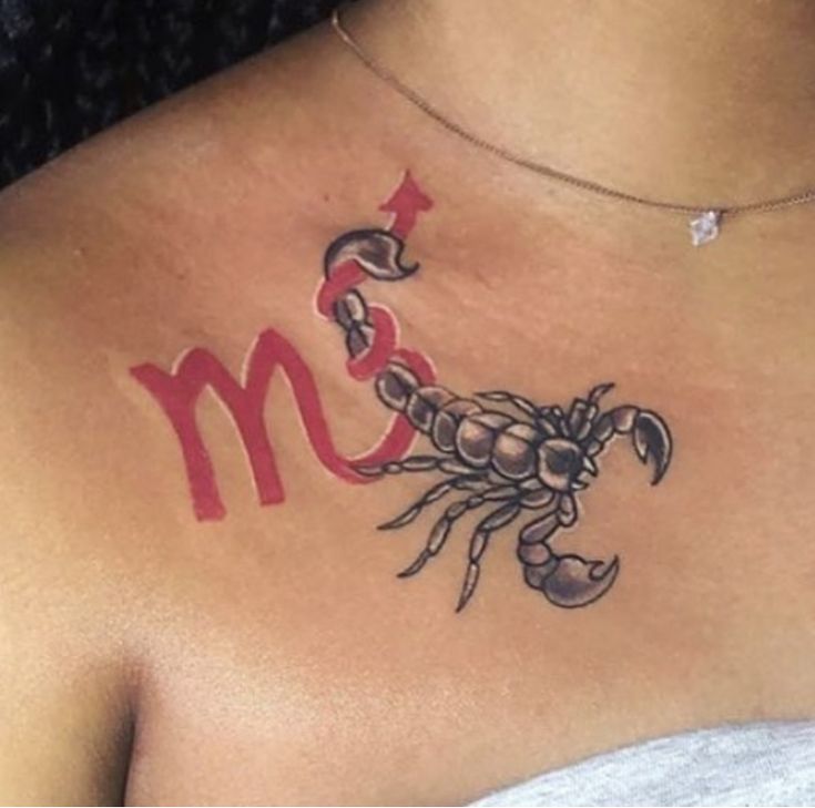 Hình xăm bọ cạp độc đáo Top 999+ hình xăm con bọ cạp siêu ngầu và cá tính - Genztattoo