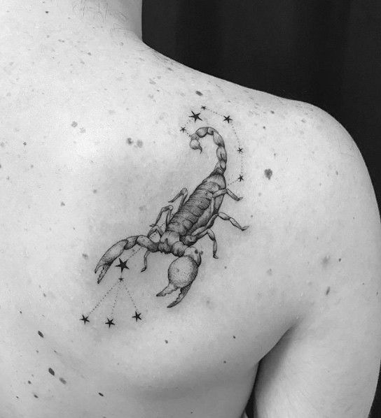Hình xăm bọ cạp ở lưng Top 999+ hình xăm con bọ cạp siêu ngầu và cá tính - Genztattoo