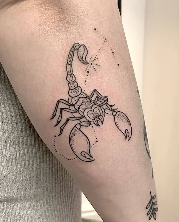 Hình xăm bọ cạp siêu đẹp Top 999+ hình xăm con bọ cạp siêu ngầu và cá tính - Genztattoo