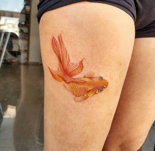 Một thiết kế hình xăm cá rất thực tế mẫu xăm hình con cá cực chân thật