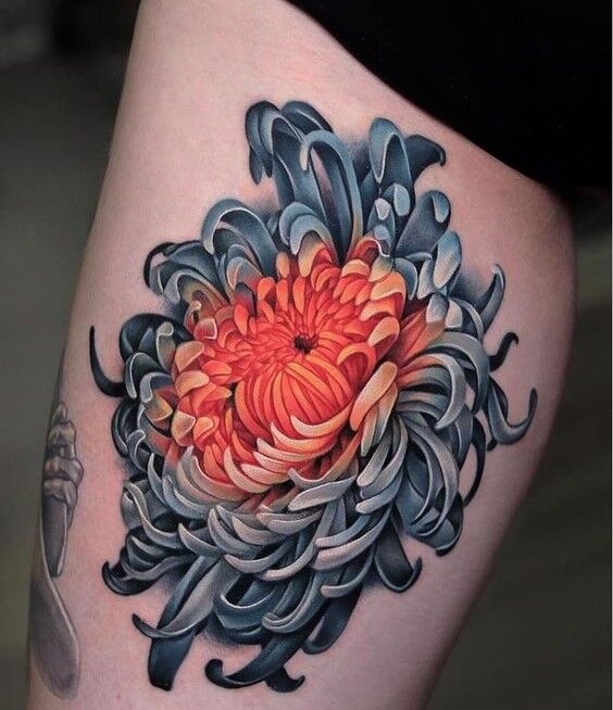 Hình xăm hoa cúc độc đáo Tattoo hoa cúc độc đáo