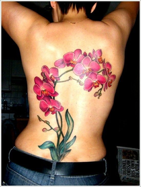 mẫu tattoo hoa lan sau lưng khách