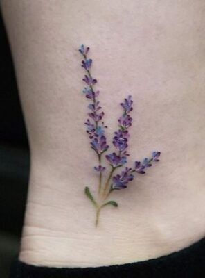 hình xăm hoa lavender ở mẳt cá chân