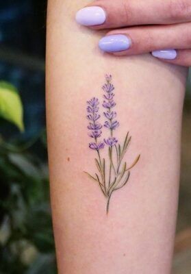 hình xăm hoa lavender mini