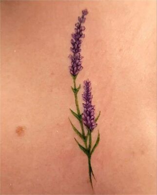 tattoo hoa lavender tinh tế