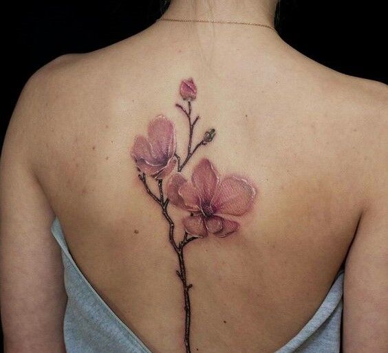 Hình xăm bông hoa màu hồng đậm ở lưng Tattoo hoa sau lưng màu hồng sẫm