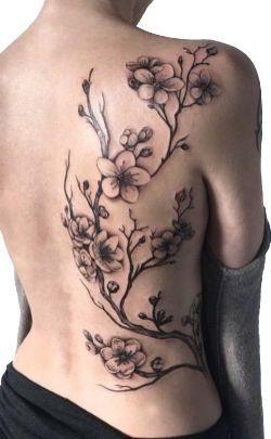 Hình xăm hoa sáng tạo ở lưng Tattoo hoa sau lưng sáng tạo